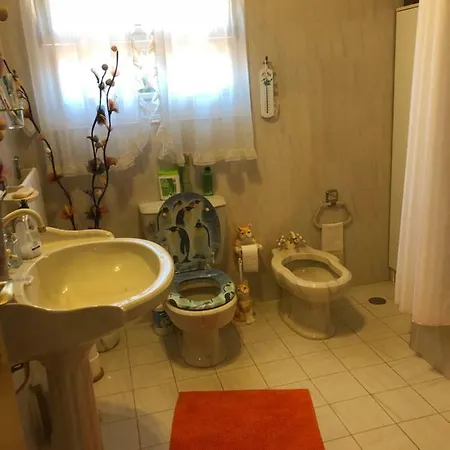 Vivenda Soares Homestay Fatima